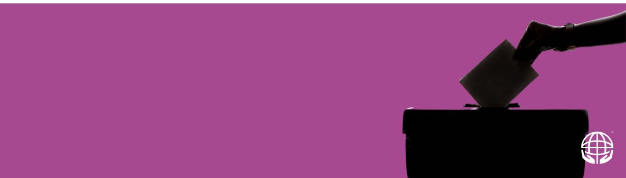 Director Election Hub Banner